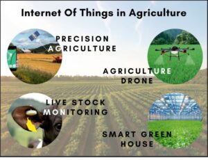 In recent years, the Internet of Things (IoT) has revolutionized various industries, and one of the sectors that has greatly benefited from this technological advancement is agriculture. IoT in smart agriculture involves the integration of digital sensors, connectivity, and data analytics to enhance efficiency, productivity, and sustainability in farming practices.